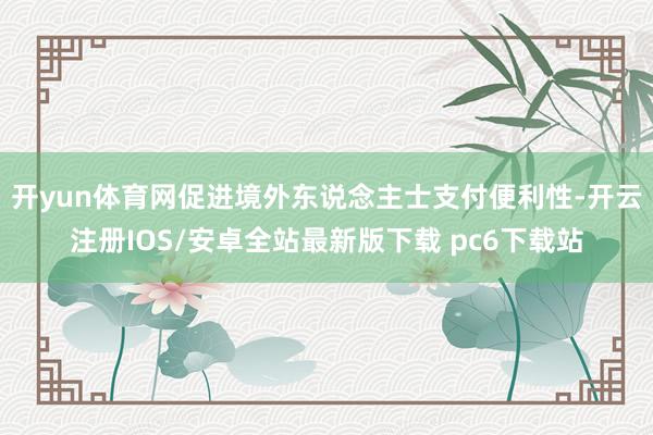 开yun体育网促进境外东说念主士支付便利性-开云注册IOS/安卓全站最新版下载 pc6下载站