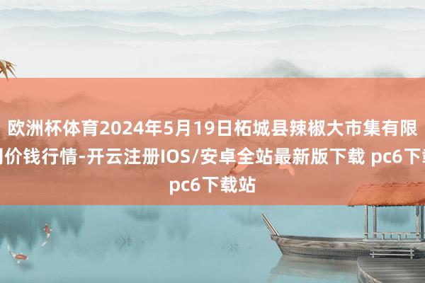 欧洲杯体育2024年5月19日柘城县辣椒大市集有限公司价钱行情-开云注册IOS/安卓全站最新版下载 pc6下载站