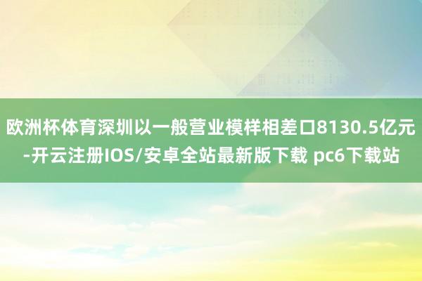 欧洲杯体育深圳以一般营业模样相差口8130.5亿元-开云注册IOS/安卓全站最新版下载 pc6下载站