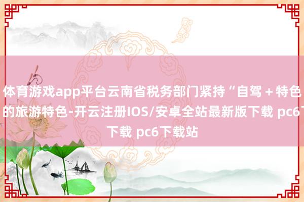 体育游戏app平台云南省税务部门紧持“自驾＋特色行业”的旅游特色-开云注册IOS/安卓全站最新版下载 pc6下载站