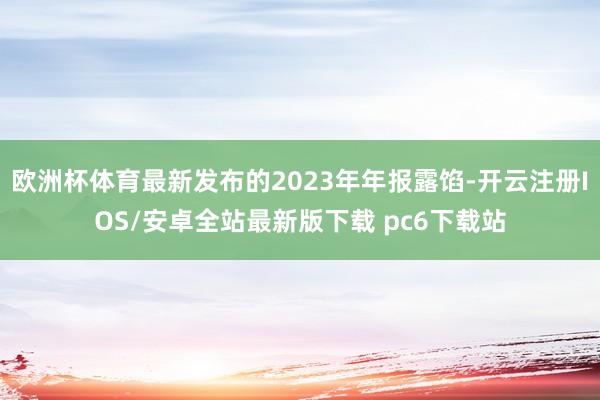 欧洲杯体育最新发布的2023年年报露馅-开云注册IOS/安卓全站最新版下载 pc6下载站