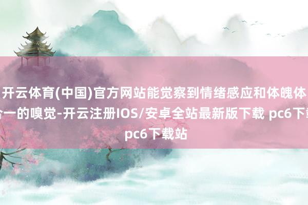 开云体育(中国)官方网站能觉察到情绪感应和体魄体验合一的嗅觉-开云注册IOS/安卓全站最新版下载 pc6下载站