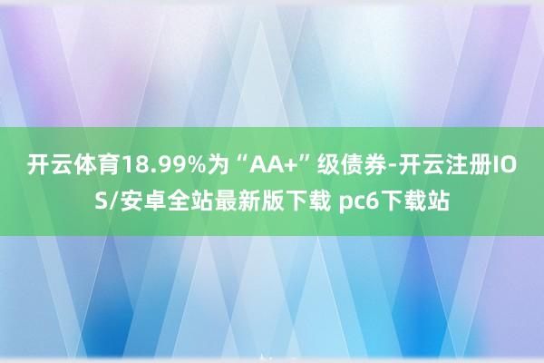 开云体育18.99%为“AA+”级债券-开云注册IOS/安卓全站最新版下载 pc6下载站