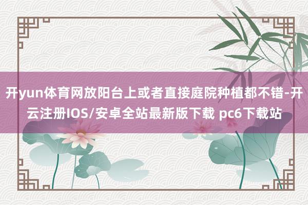 开yun体育网放阳台上或者直接庭院种植都不错-开云注册IOS/安卓全站最新版下载 pc6下载站