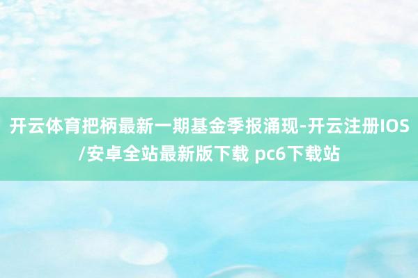 开云体育把柄最新一期基金季报涌现-开云注册IOS/安卓全站最新版下载 pc6下载站