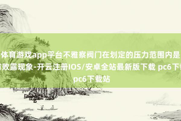 体育游戏app平台不雅察阀门在划定的压力范围内是否有败露现象-开云注册IOS/安卓全站最新版下载 pc6下载站