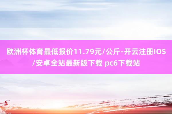 欧洲杯体育最低报价11.79元/公斤-开云注册IOS/安卓全站最新版下载 pc6下载站