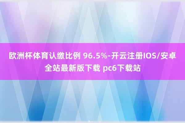 欧洲杯体育认缴比例 96.5%-开云注册IOS/安卓全站最新版下载 pc6下载站