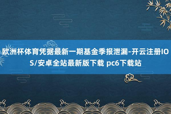 欧洲杯体育凭据最新一期基金季报泄漏-开云注册IOS/安卓全站最新版下载 pc6下载站